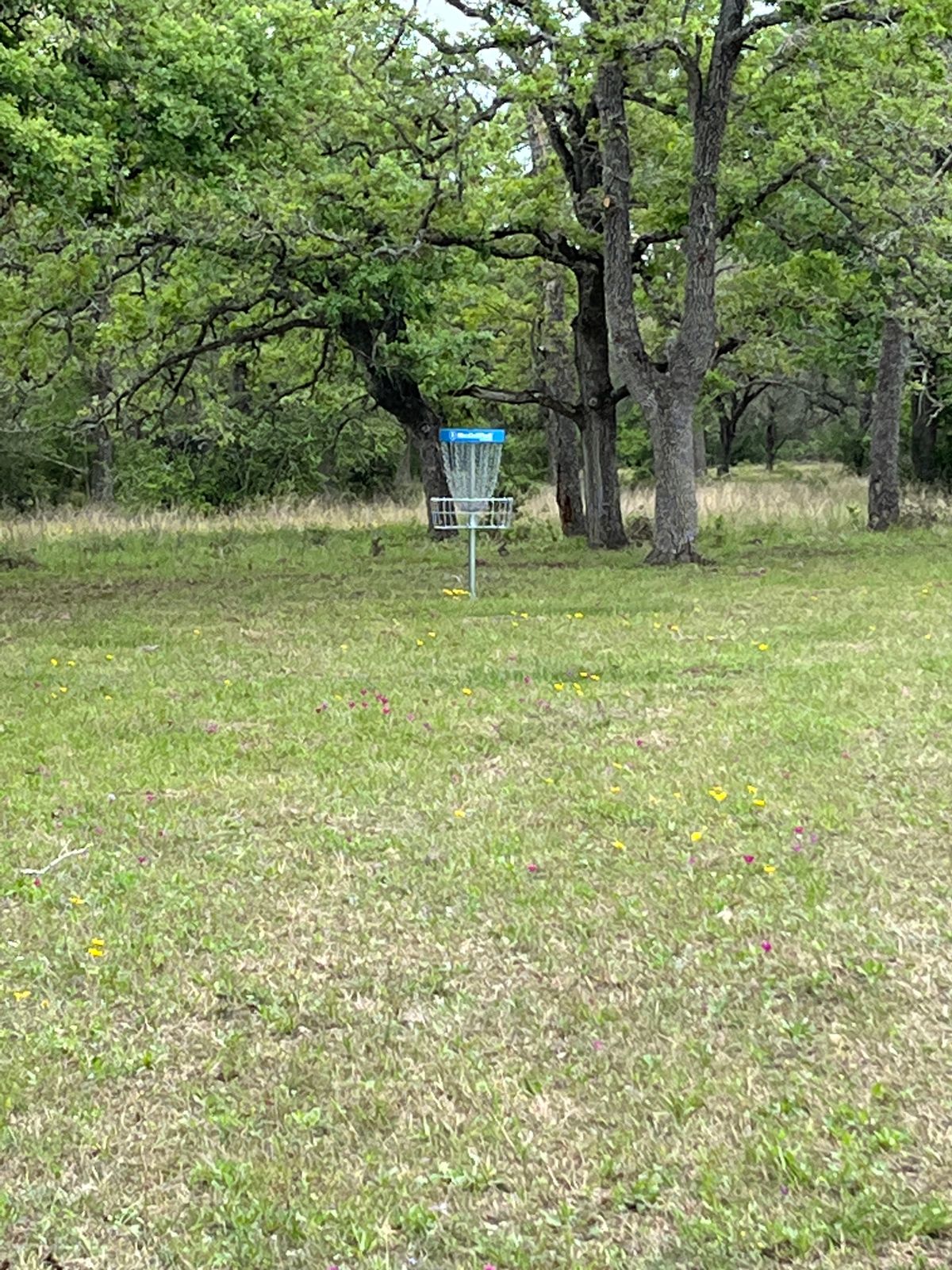 Hole 6 - Let it fly, it's out there!