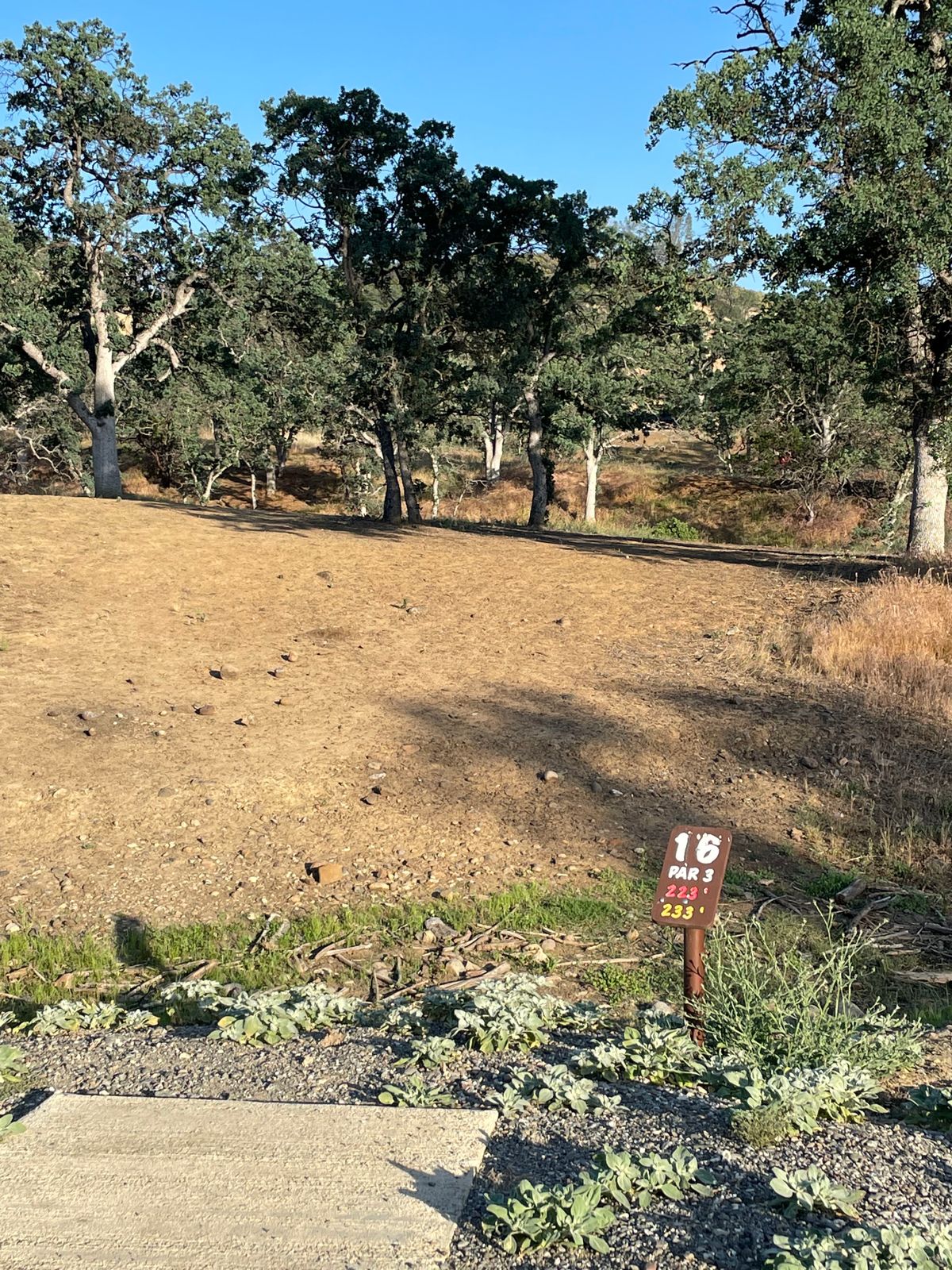 Looking off of #16