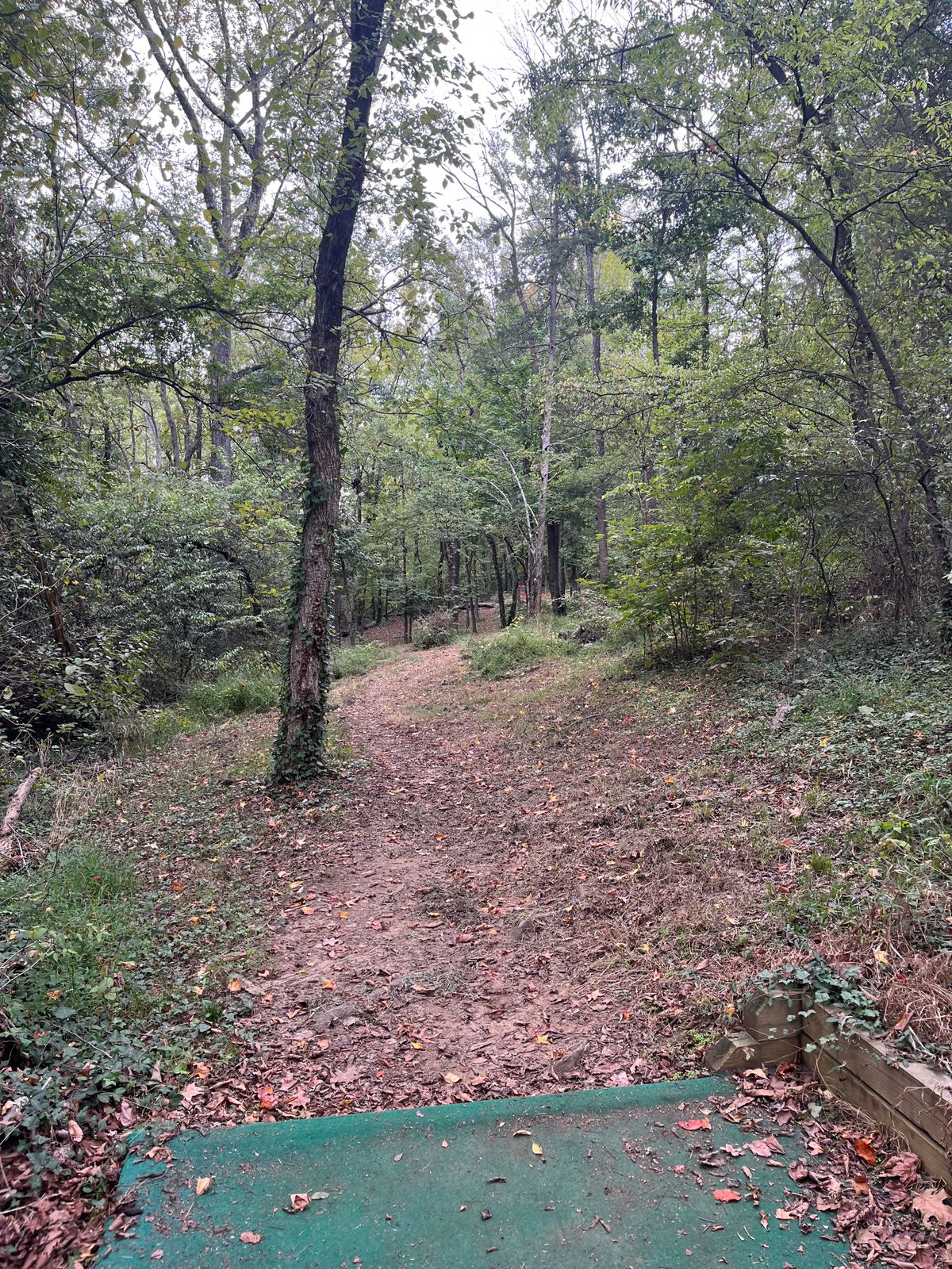 Recent trimming done on hole 8. Also a bunch of trees have fell down from a storm awhile ago.