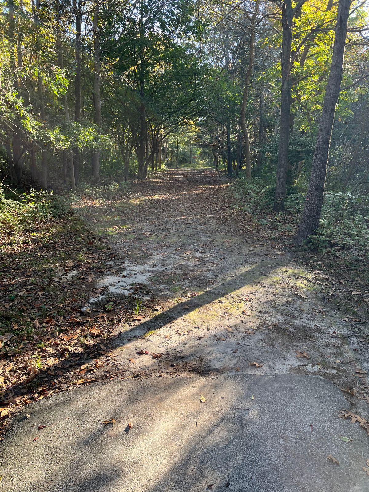 Hole 8 tee