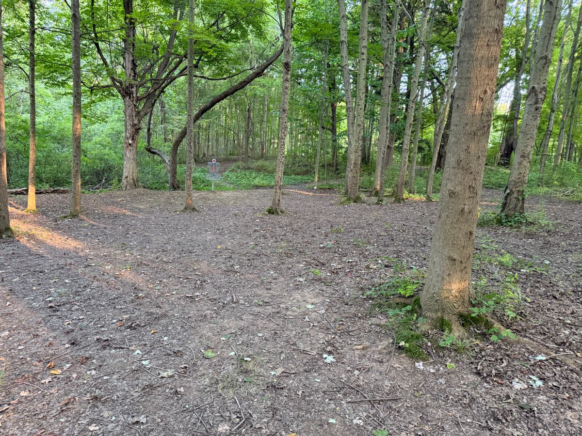 Hole 5 Green