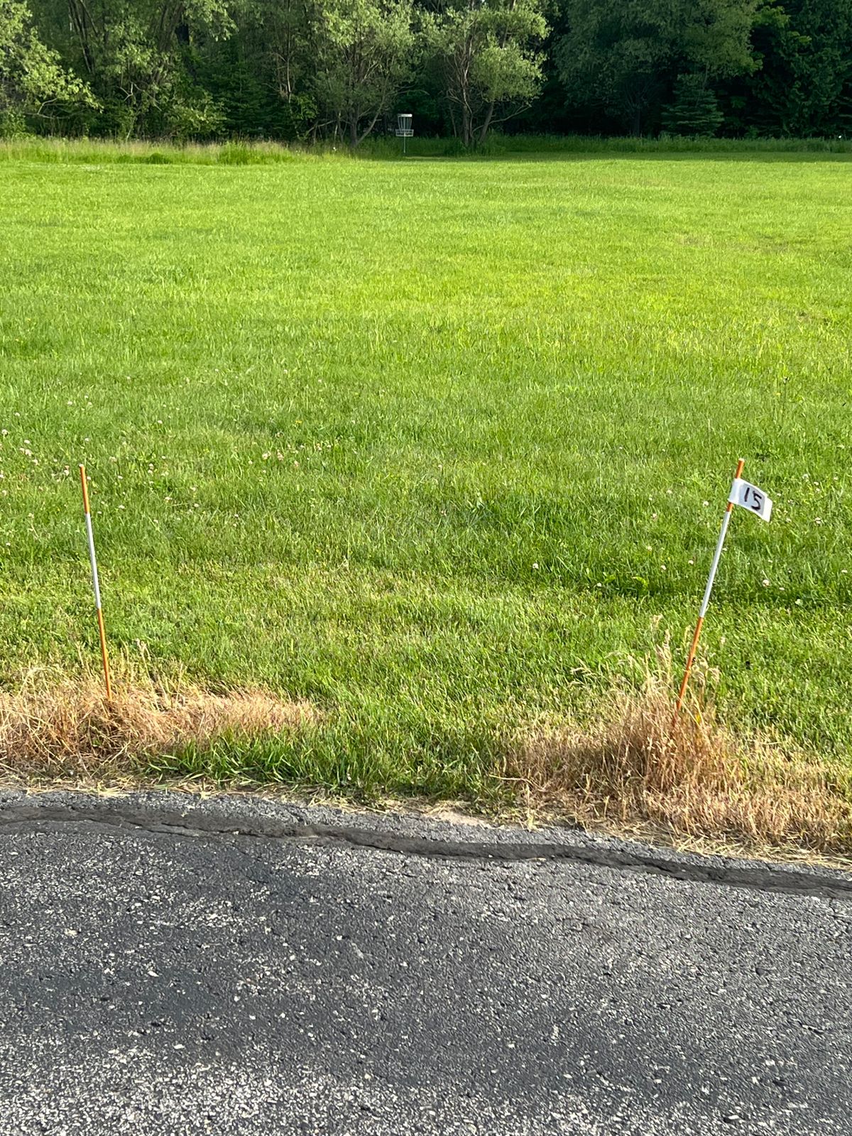 Tee pad 15 - straight shot for n, but beware of the swampy area behind the basket