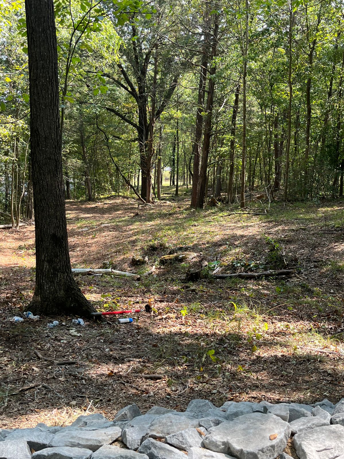 Hole 9 from the tee