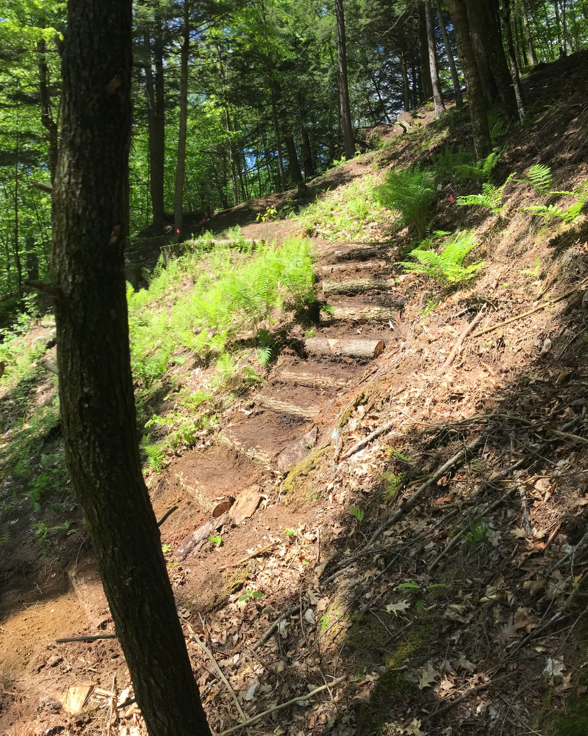 Hole 2 new stairs.