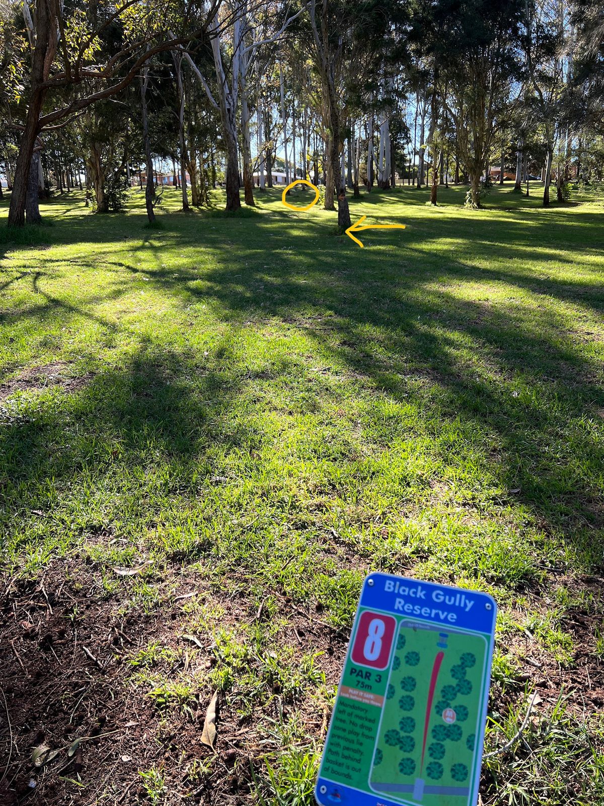 Hole 8 with mando