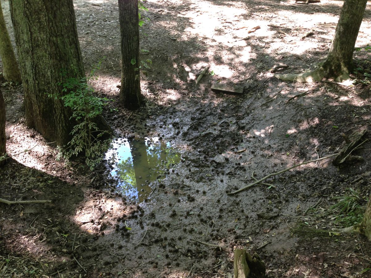 Hole 11