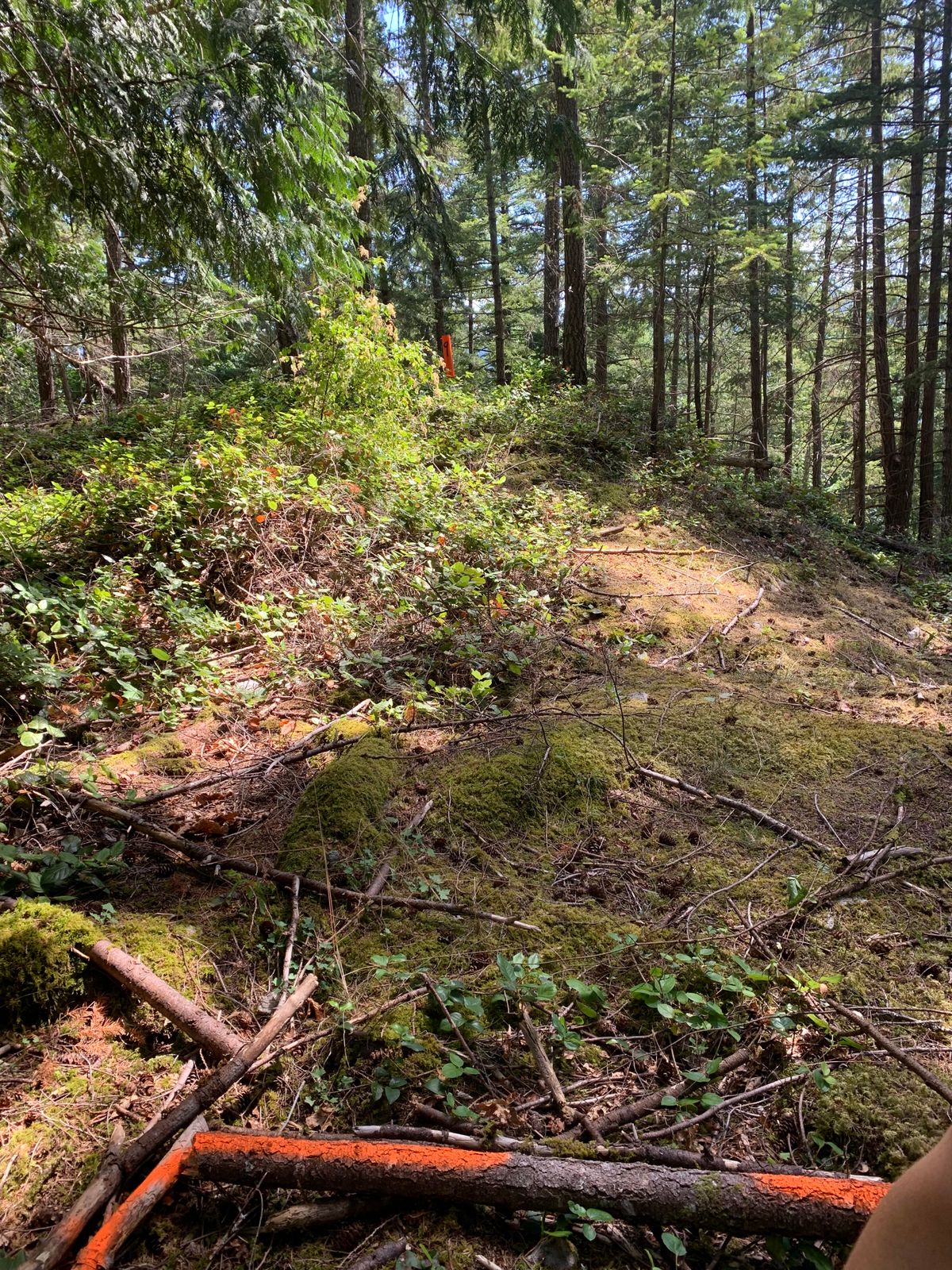 Hole 9 front