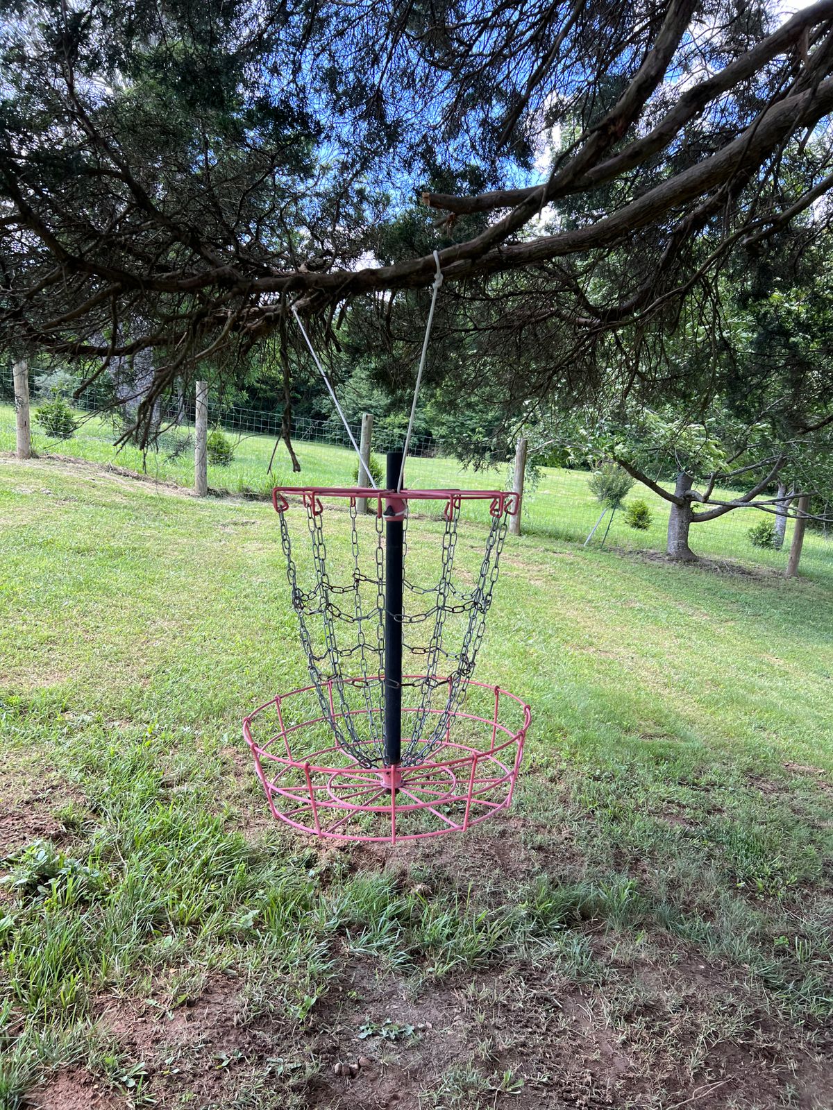 Hanging basket on holes 4 and 9