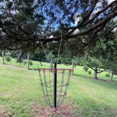Hanging basket on holes 4 and 9