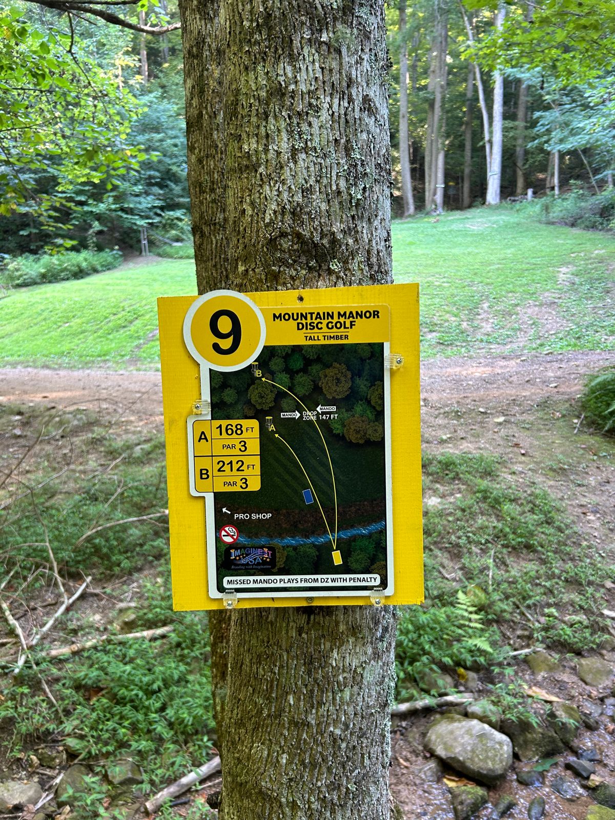 9 gold sign   showing you go between the trees to the basket  