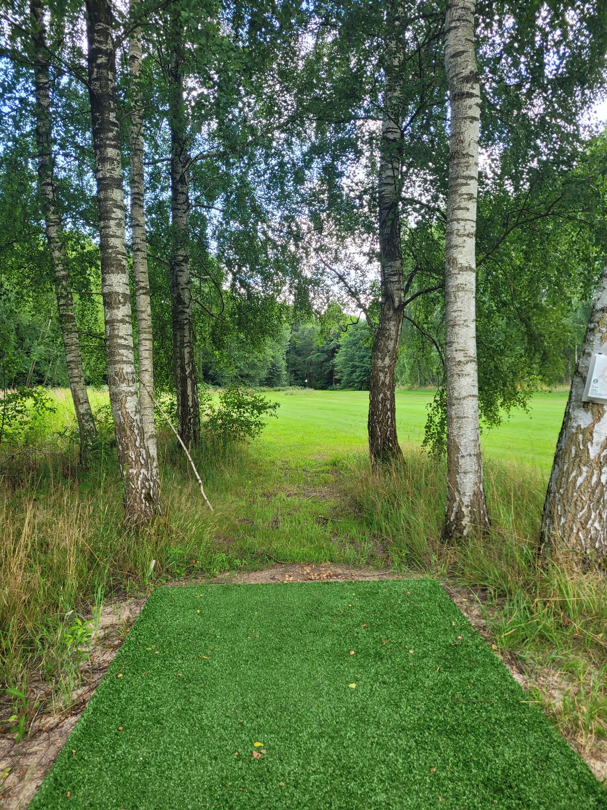 Hole 5, new tee pad