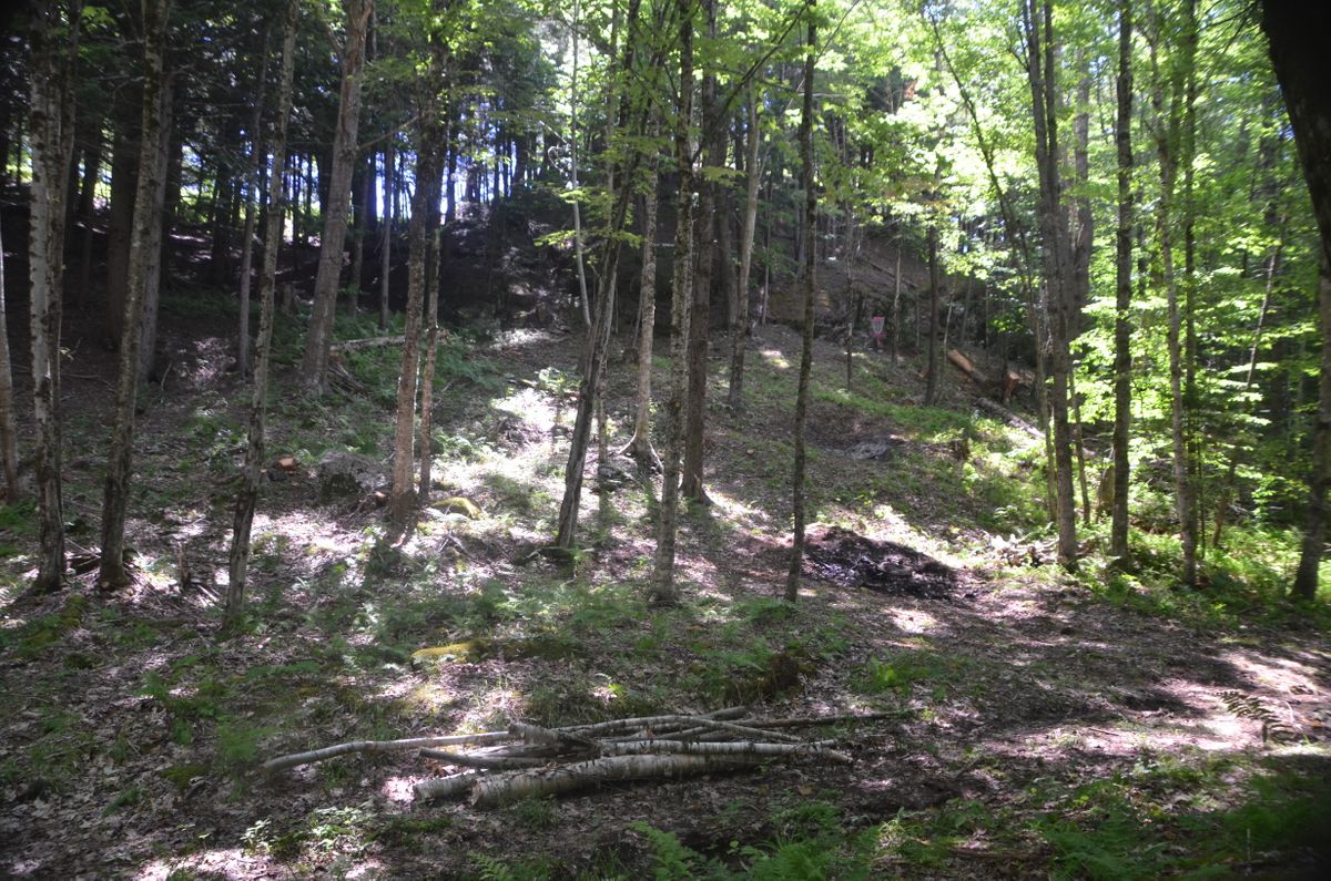 Hole 5 right approach.