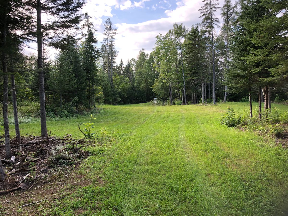 5 fairway right side of island look at basket in Longs
