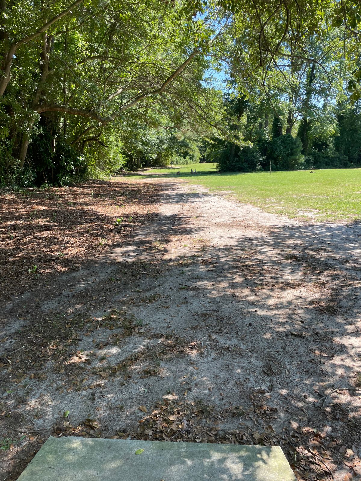 Hole#8 From The Tee Pad