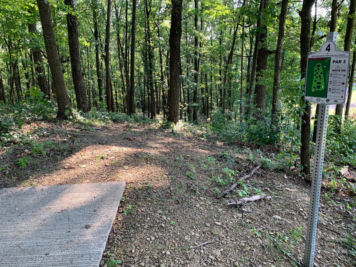 Hole 4 white tee