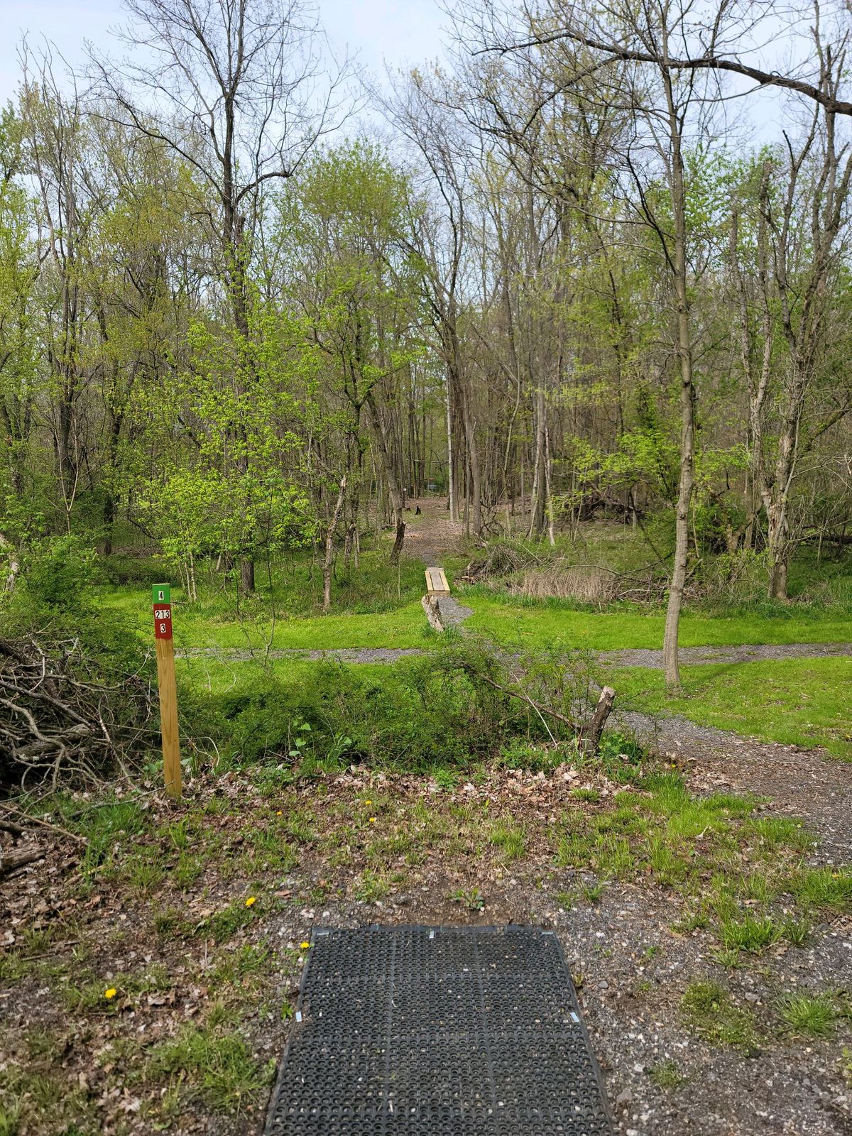 Hole #4