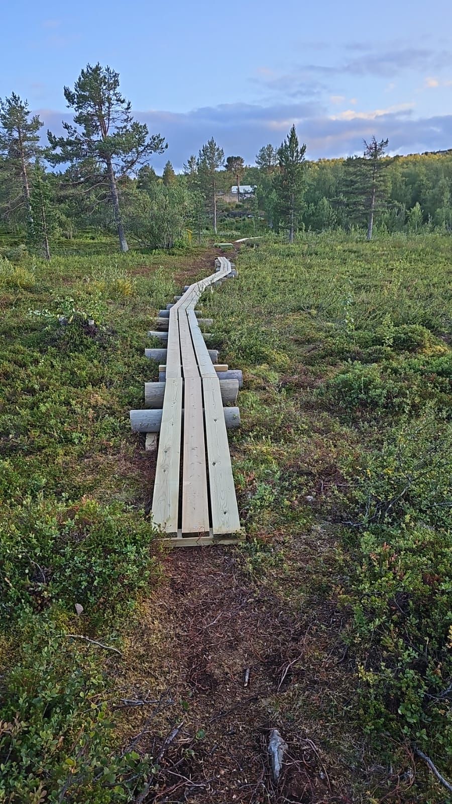 Hole 6