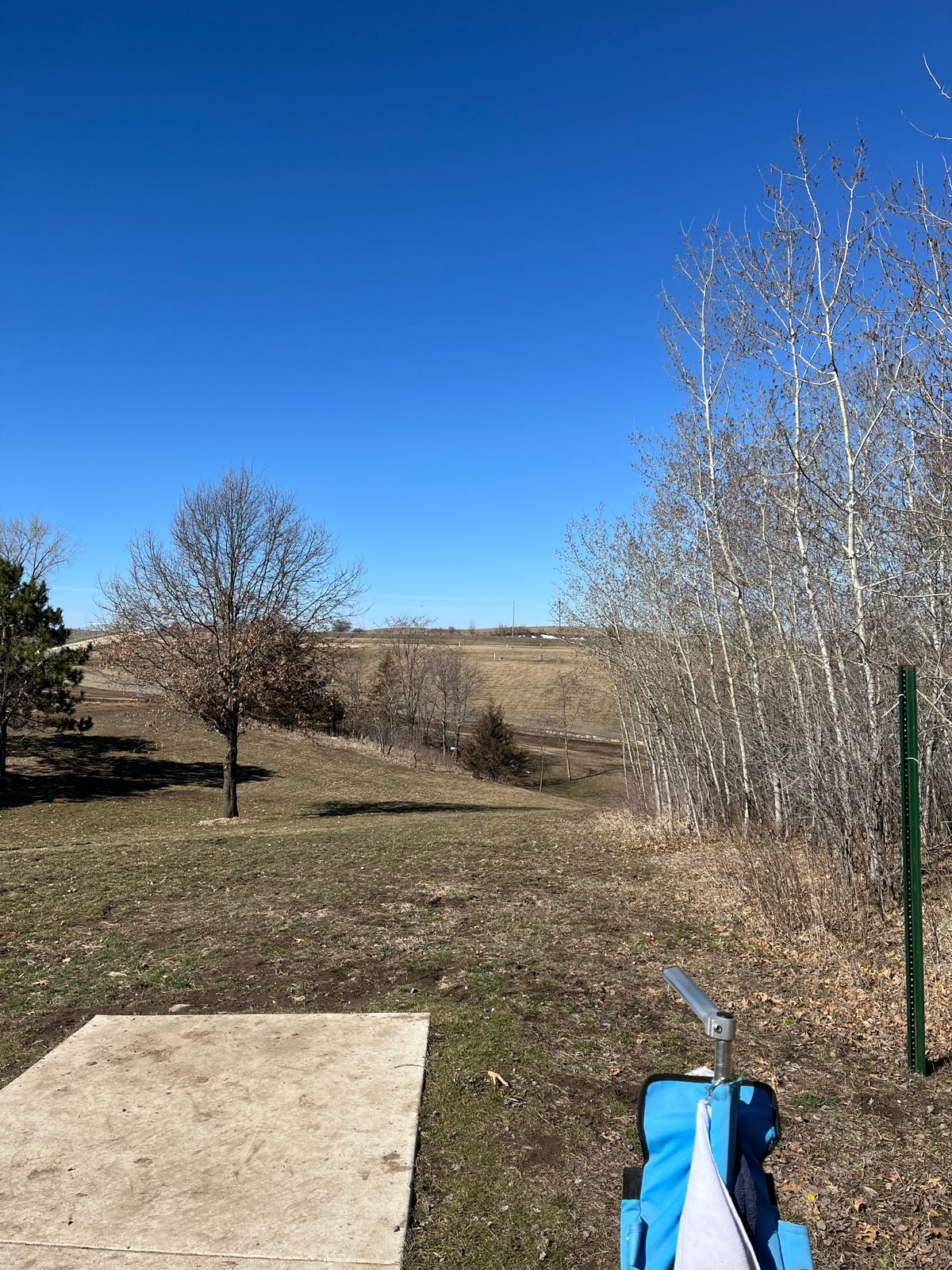 Tee 1 - Evergreen Layout