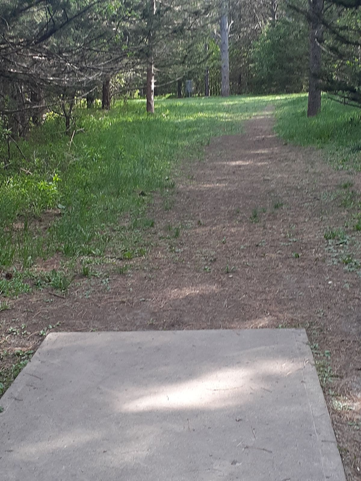 Hole 11