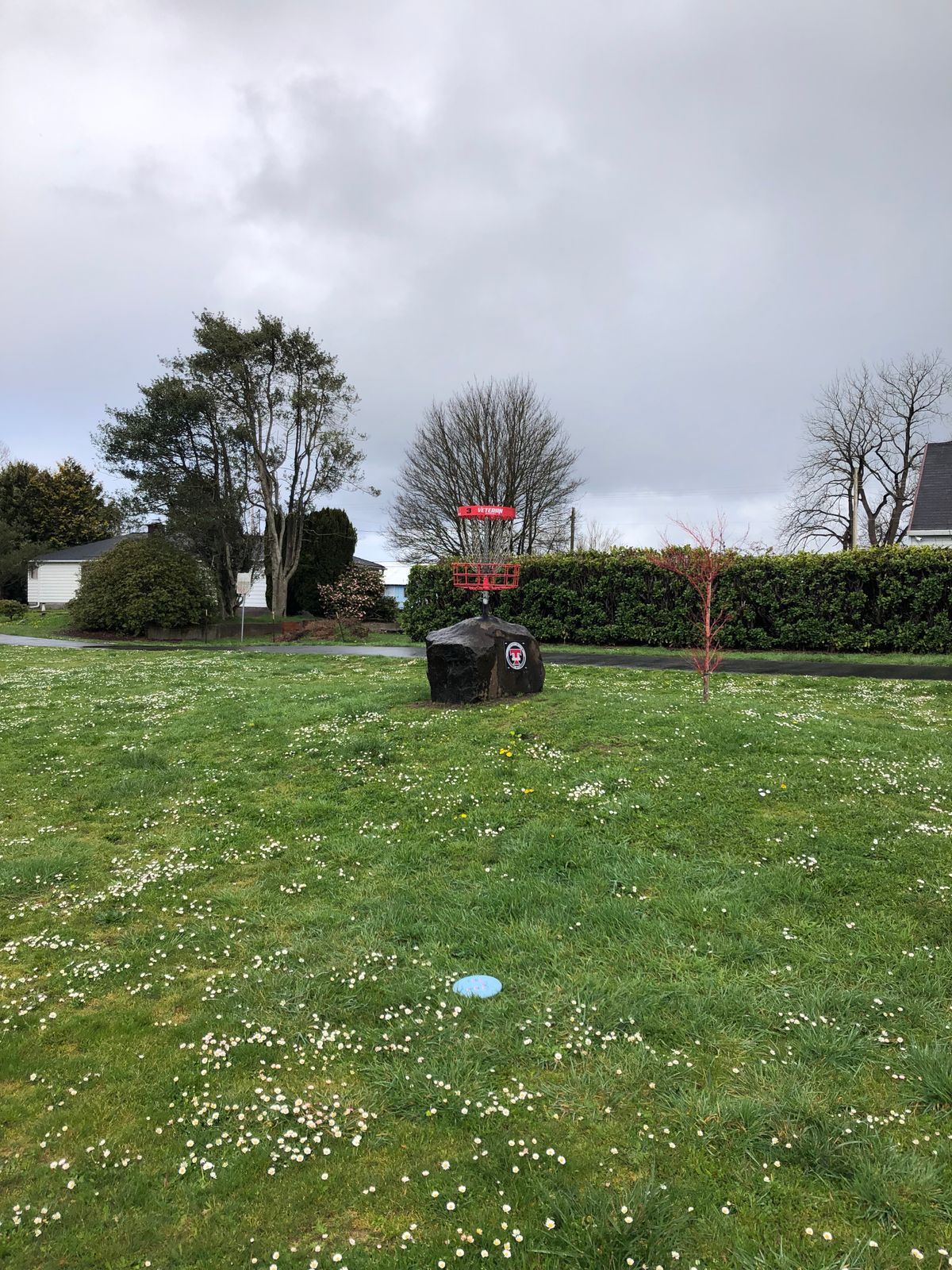 Raised basket, hole 3