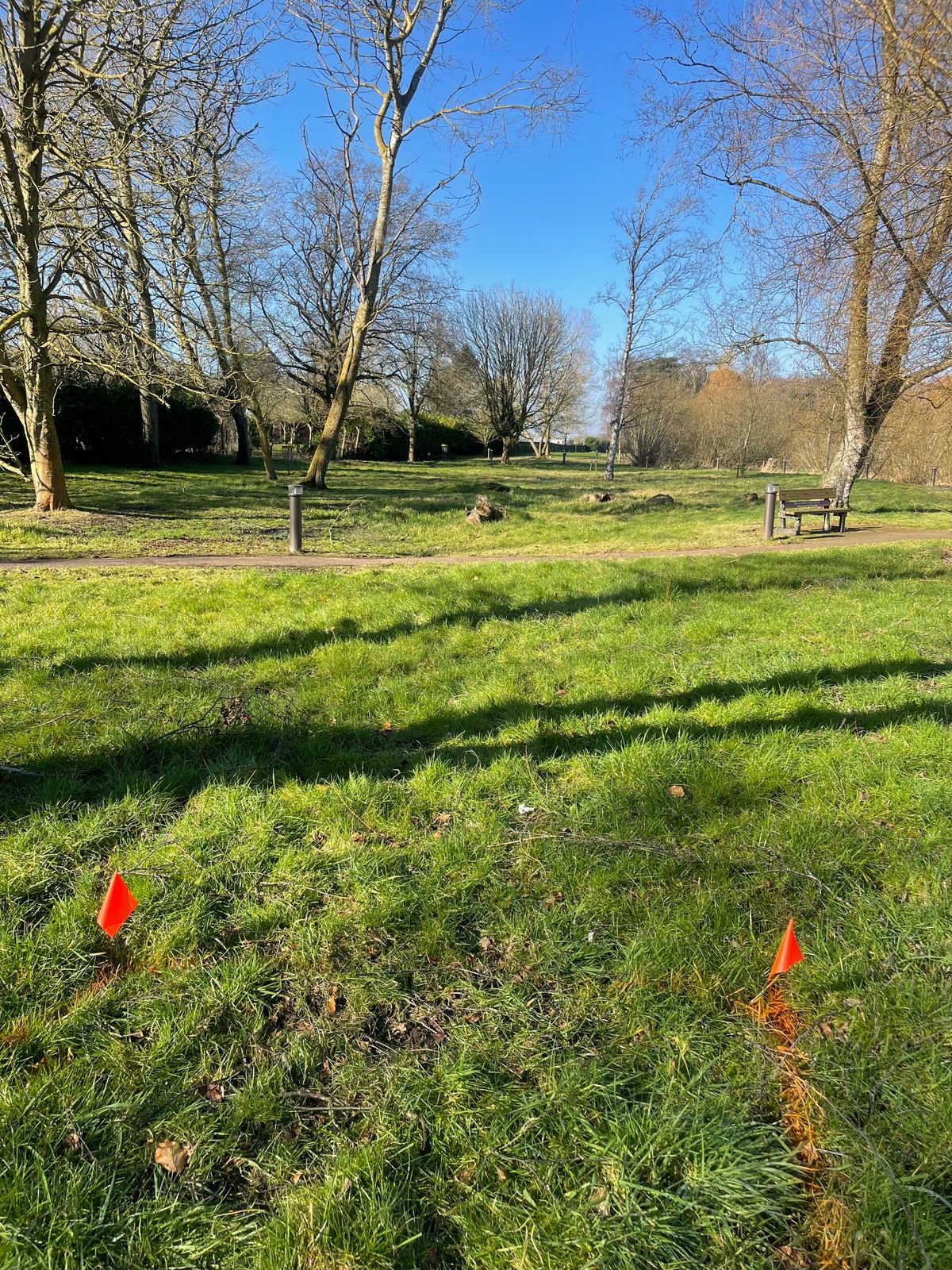 Hole 2 tee area