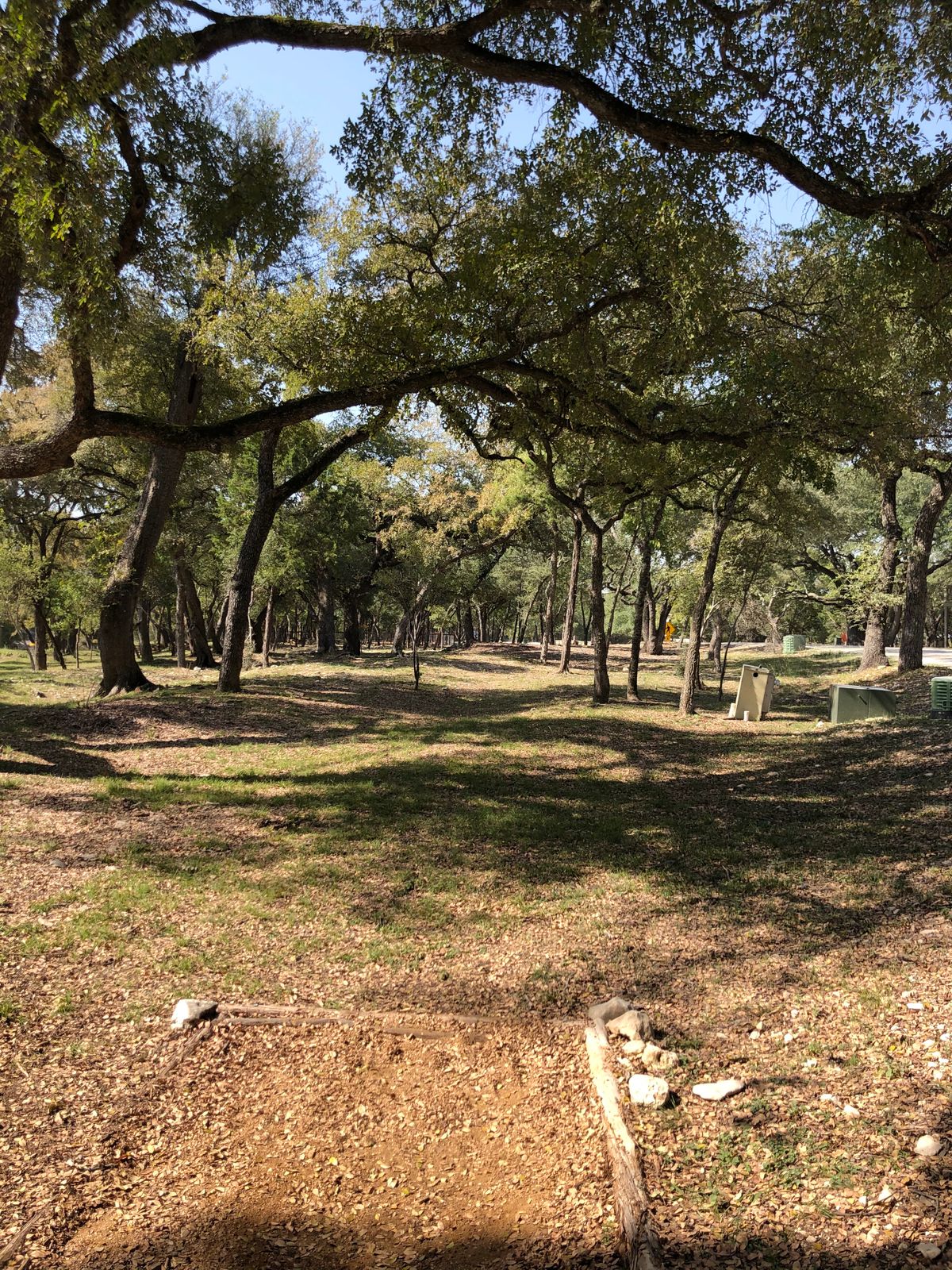Hole 4