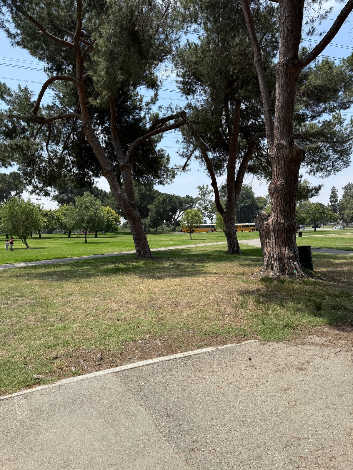 Hole 15 Tee