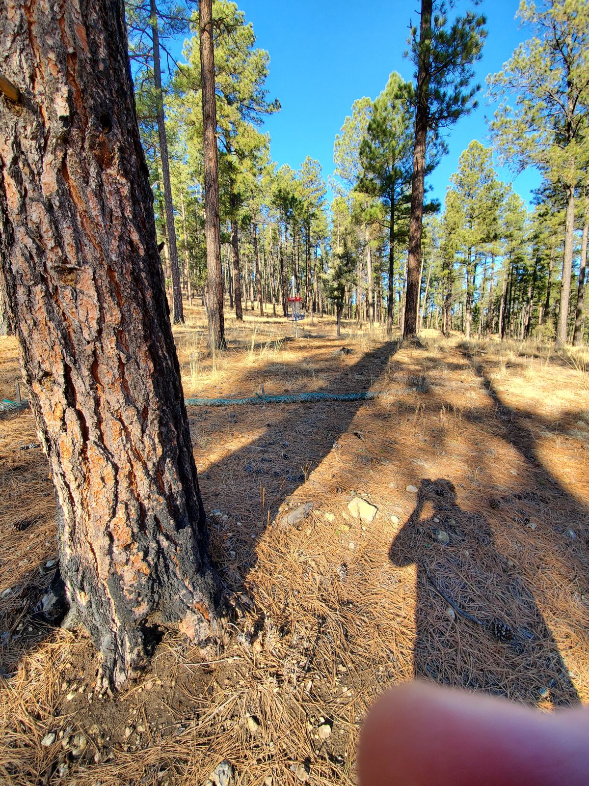 Hole 2
