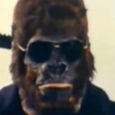 wildman42