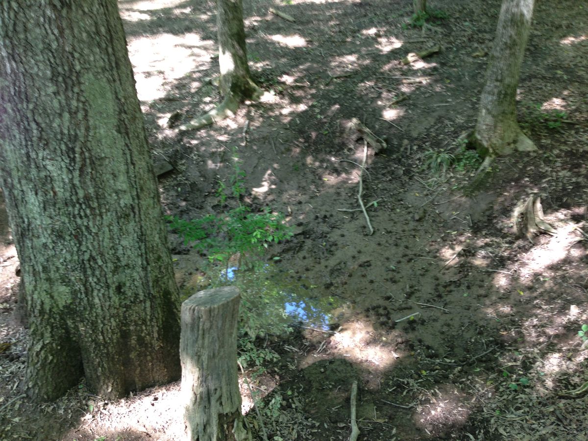 Hole 11