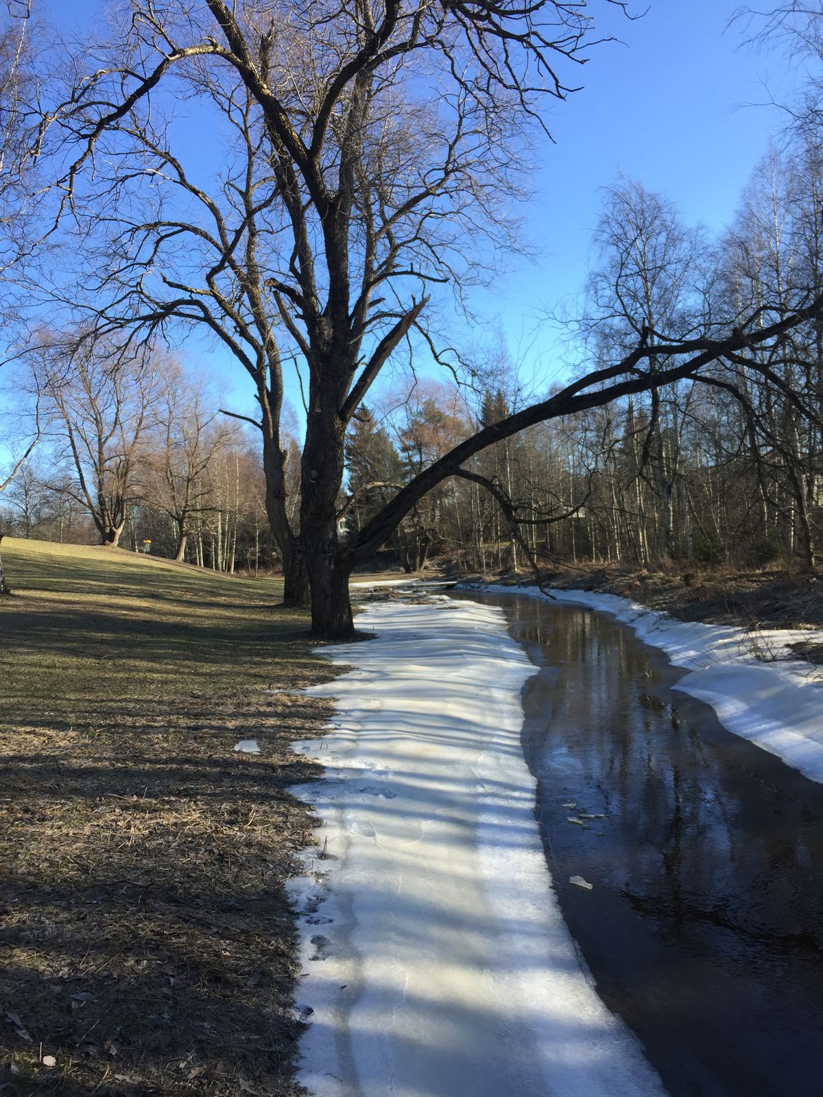 All season disc golf!