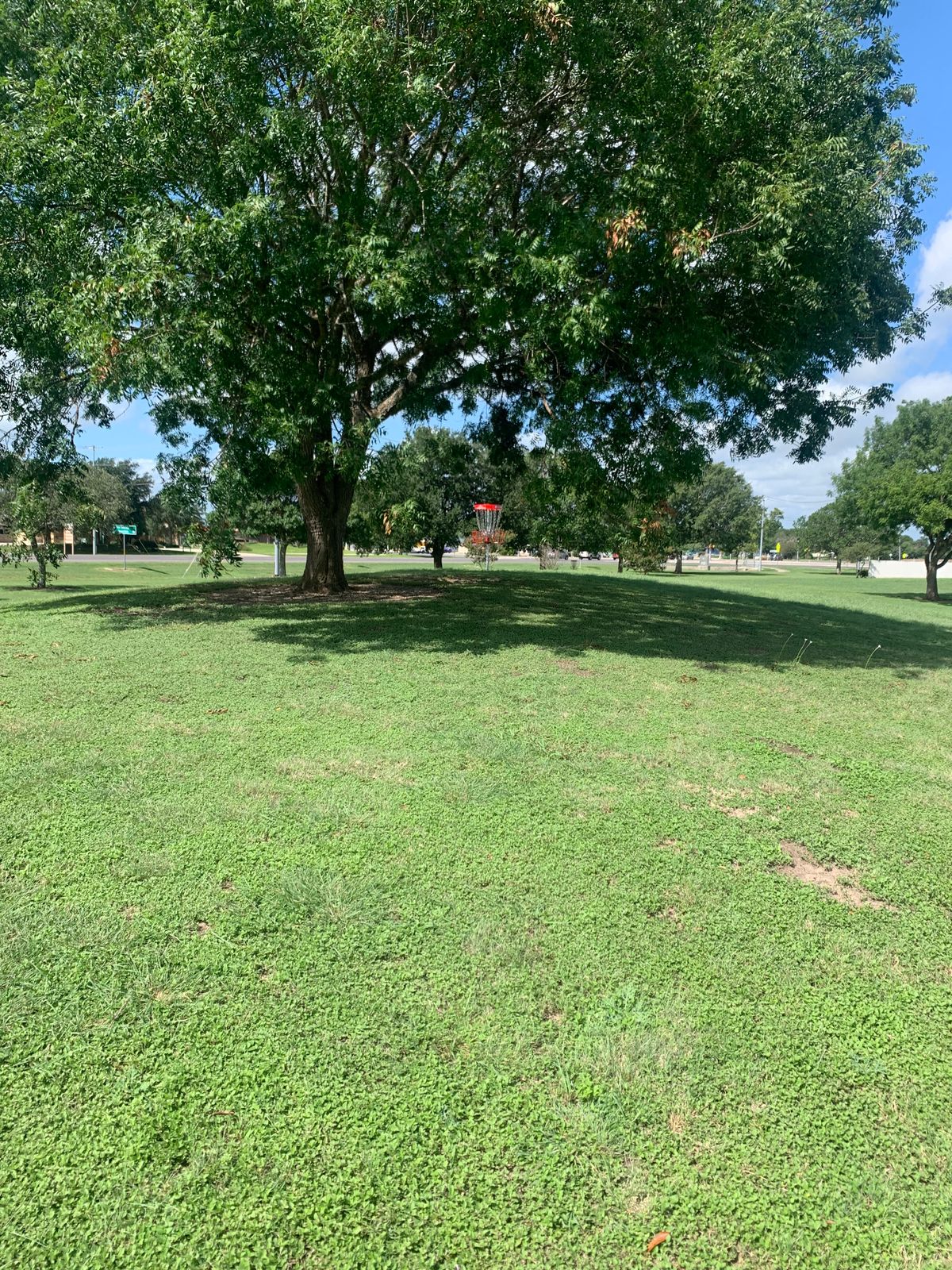 Hole 8 basket