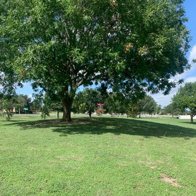 Hole 8 basket