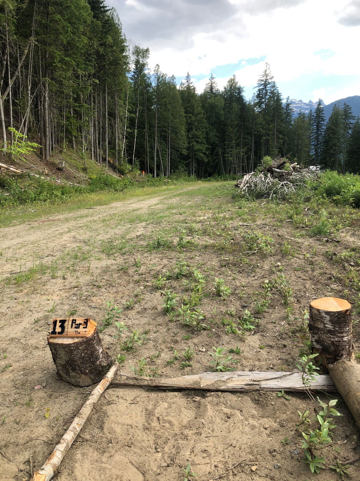 Hole 13 tee, follow road to the orange propane bottle.