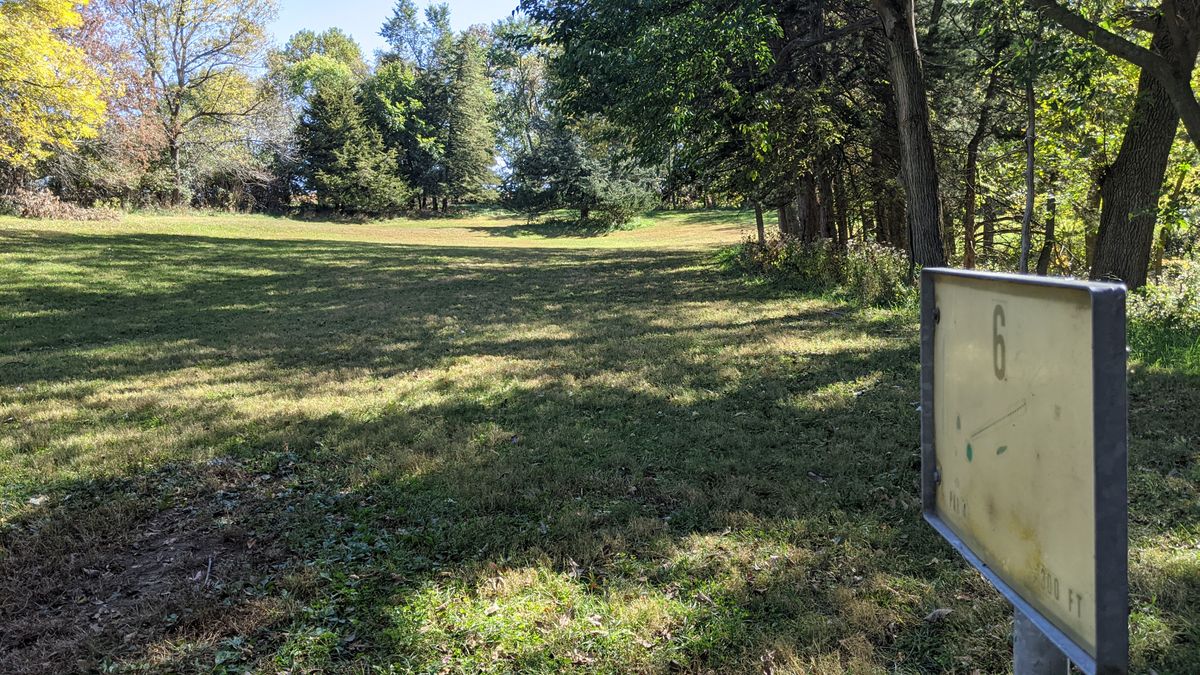 #6 Fairway.  Basket past tall tree.
