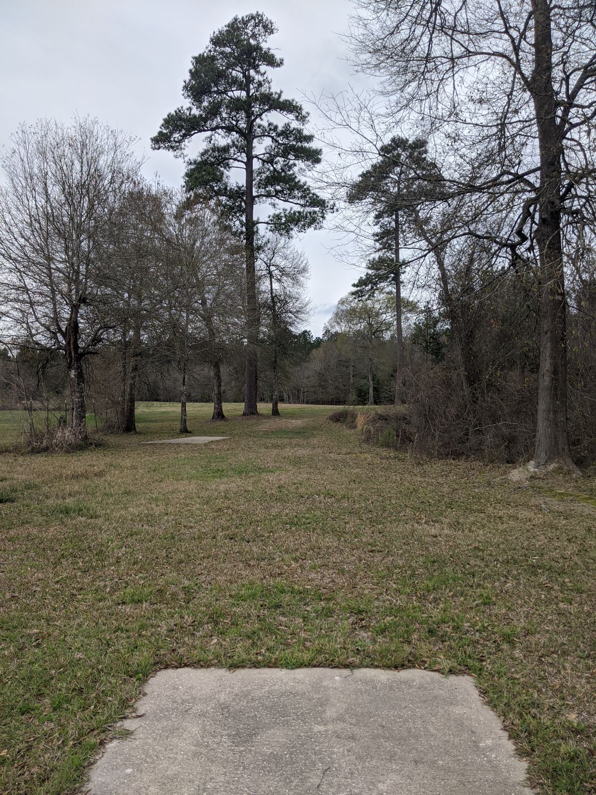 Hole 14 Long Tee