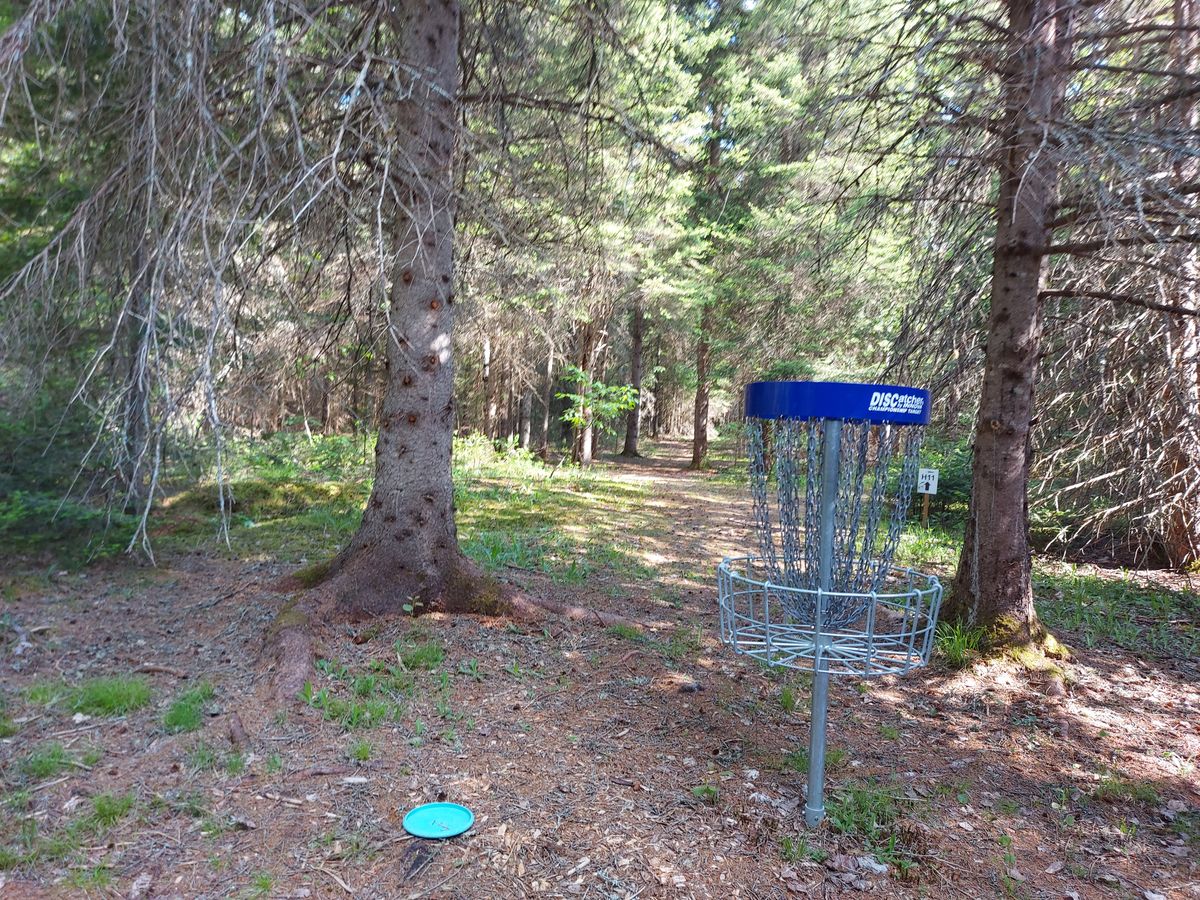 Reverse back up the fairway.  On hole 10. 🍁🌲🍁🌲🍁🌲