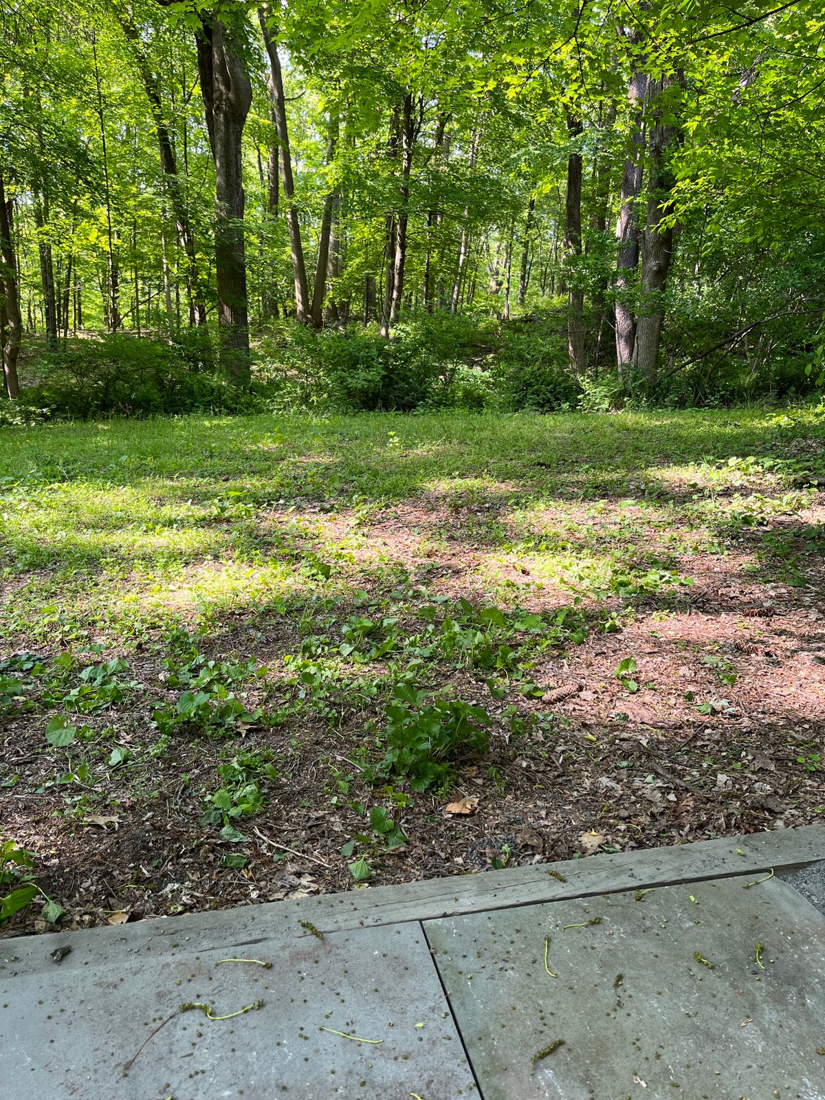 Hole 2 , tight slightly uphill par 3
