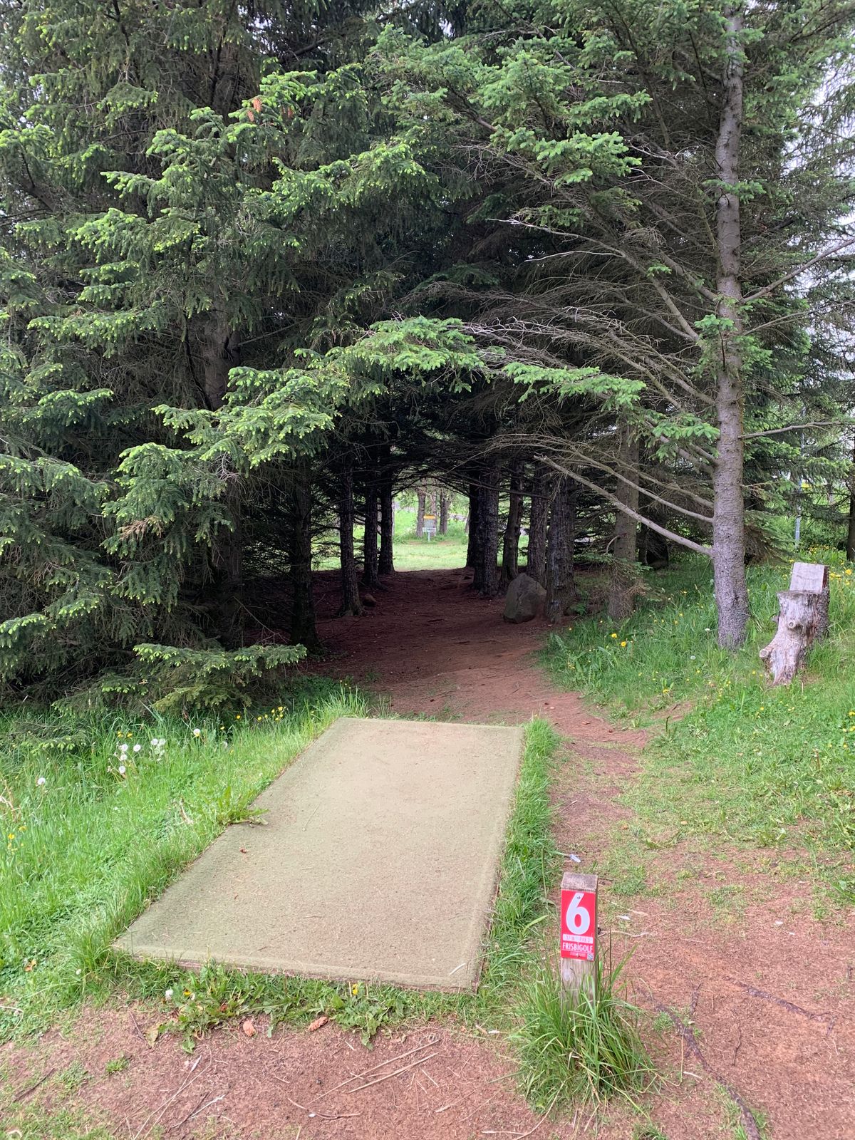 Hole 6