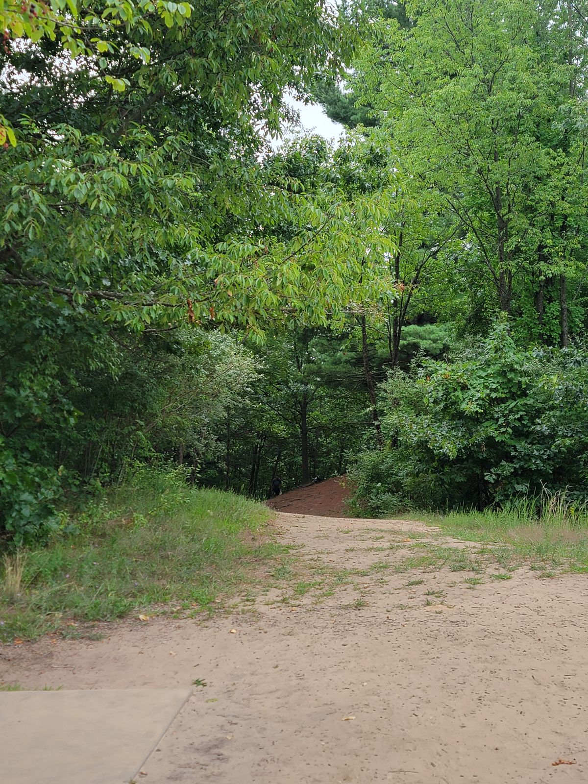 Hole #11