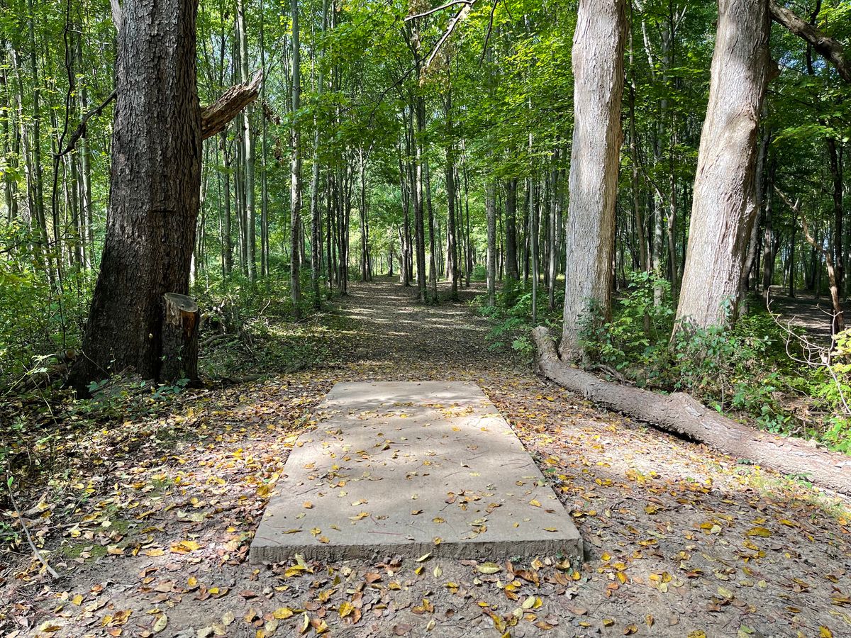 Hole 6 Tee