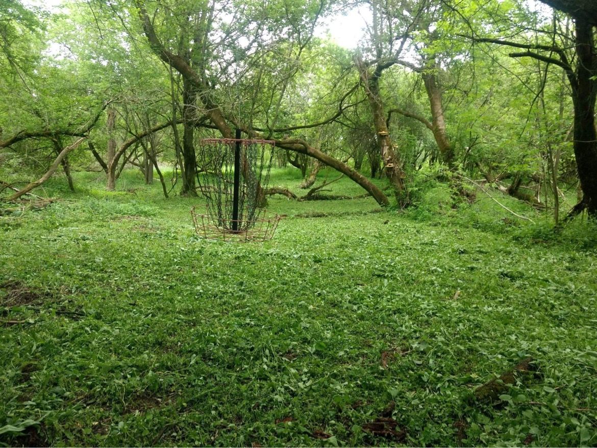 Beautiful hole 11