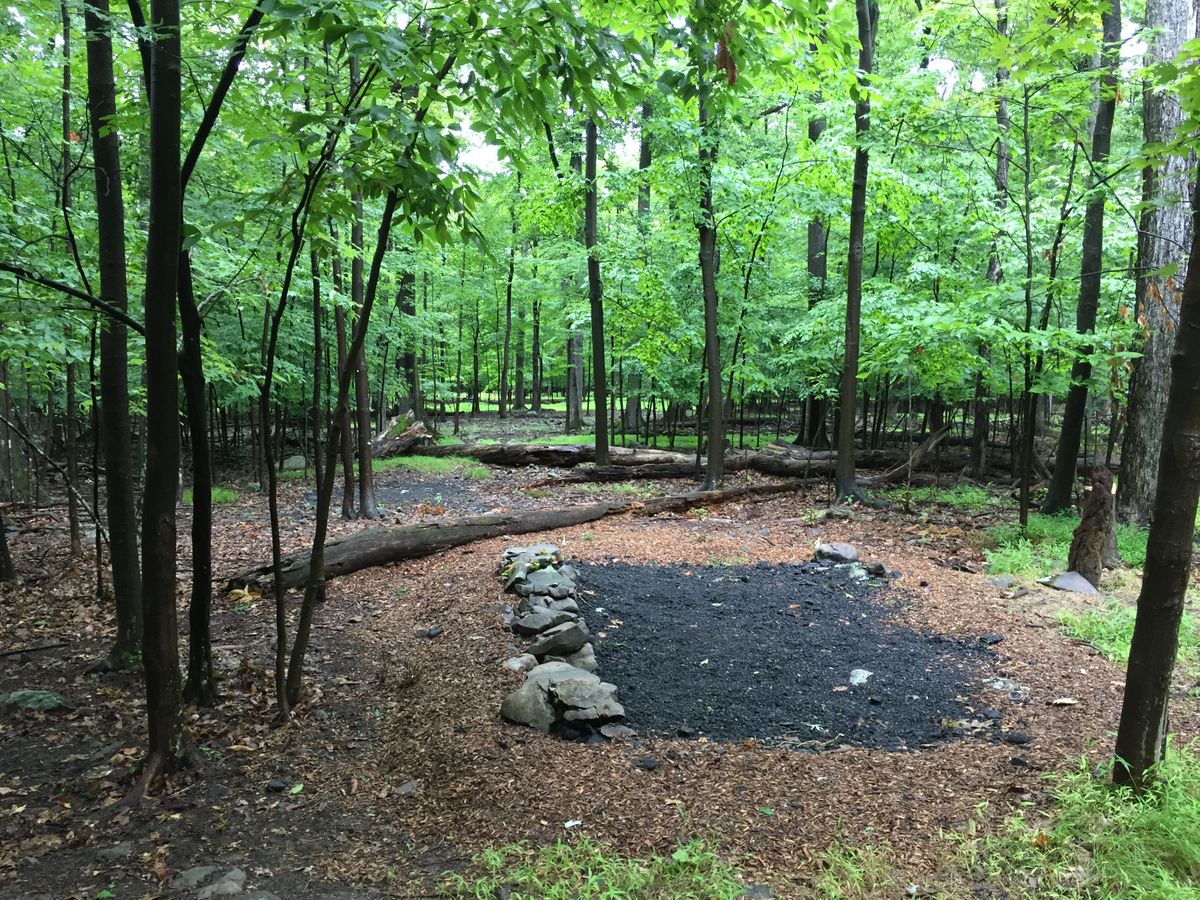 Hole 3 short tee