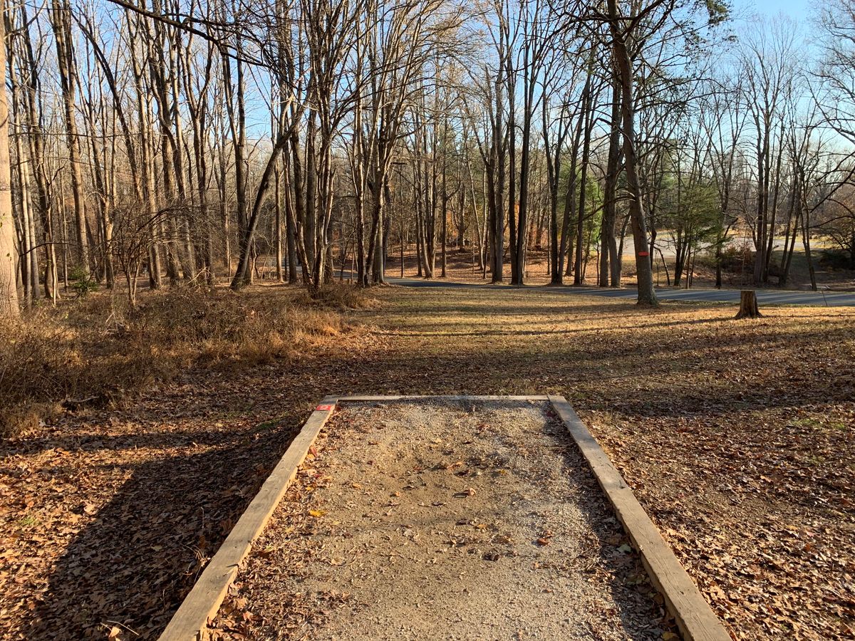 Hole 9 (short tee)