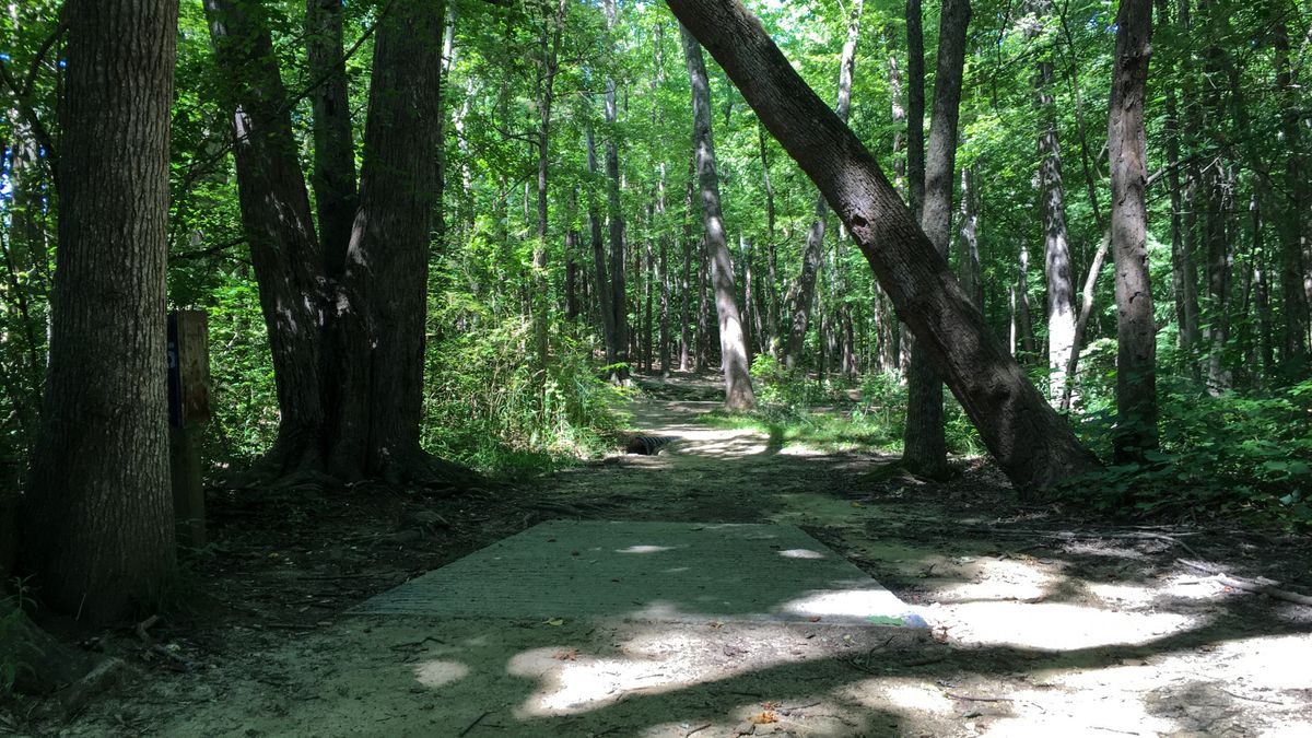 Hole 15
