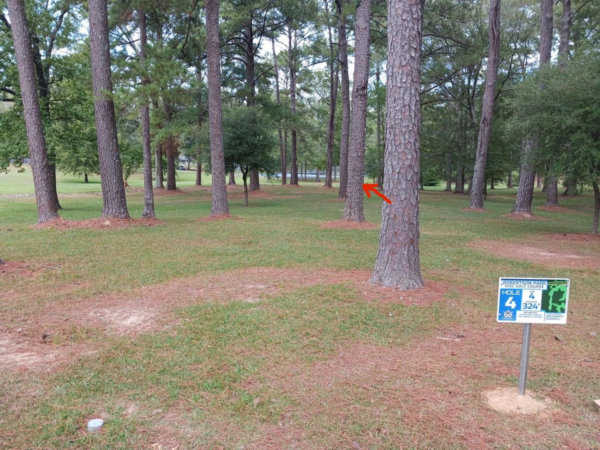 Hole 4 basket