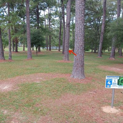 Hole 4 basket