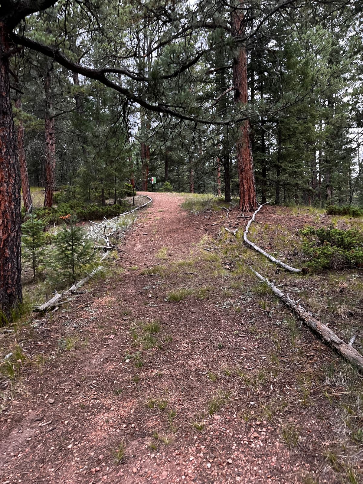 Trail leading to basket in back nine course!!