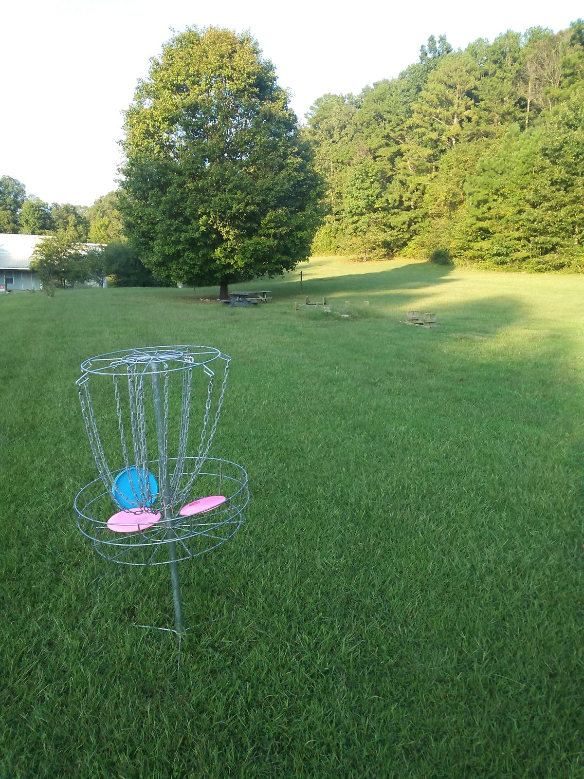 Hole 6 basket looking back at the teepad