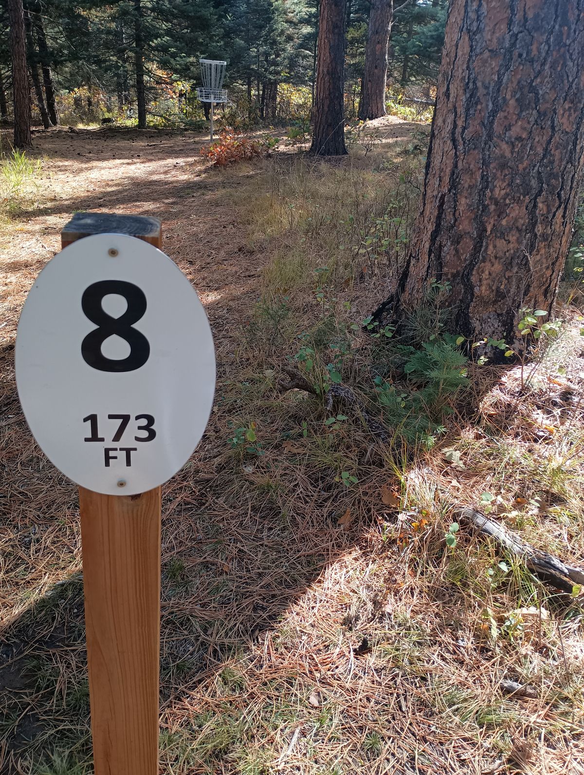 Hole 8 Tee